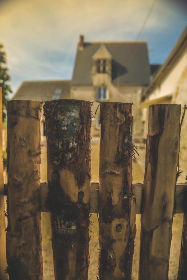 Le Petit Nancay Bed & Breakfast Thenioux ภายนอก รูปภาพ